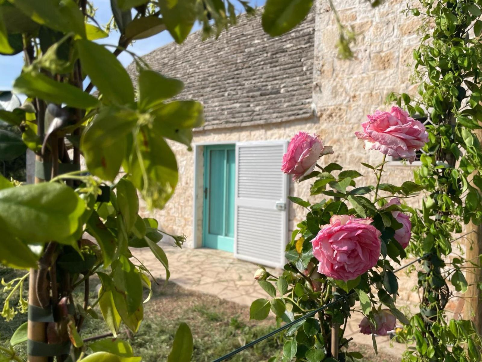 Giardino Dei Trulli Cummerse Faccia di Trippa di Monte Εξωτερικό φωτογραφία